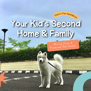 Kairo's Pet Residence | By Appointment Only