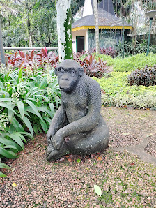 Kandang Gorilla