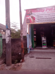 Katty Pet Shop