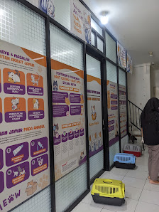 Katze Nesia - Adopsi, Grooming dan Penitipan Kucing
