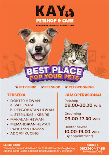 Kay pet shop and care