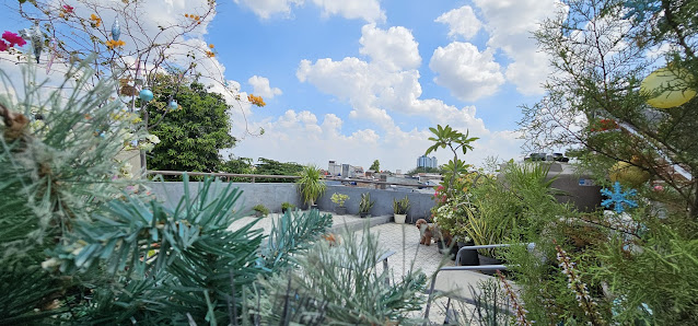 Kayak di Rumah - Dog Hotel