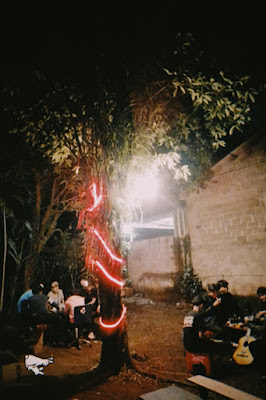 Kedai pohon murah