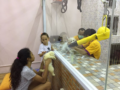 Kemang Pet Hotel & Beauty Clinic