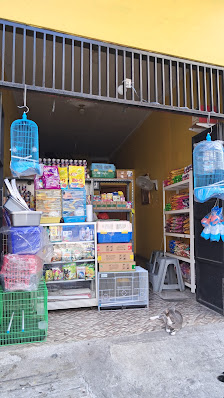 Kichi Petshop