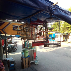 Kios burung pantura