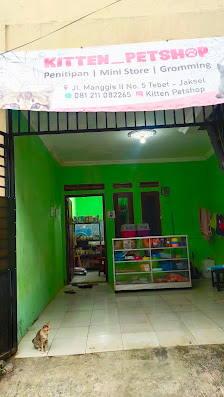 Kitten_Petshop