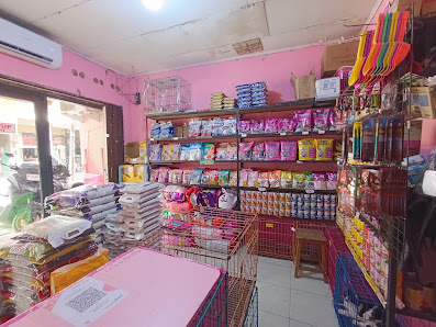 KITTY PETSHOP