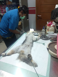 Klinik Drh. Husnul Hamdi