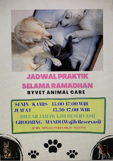 Klinik Hewan Sukabumi (Ryvet)