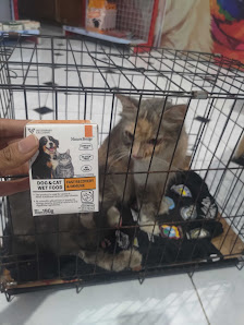 Klinik Hewan Surabaya Hi Paw Vet Care | Dokter Hewan Surabaya