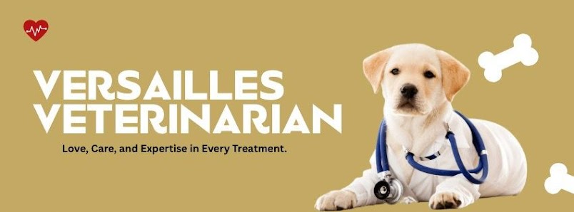 Klinik Hewan Versailles Veterinarian