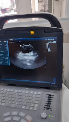 Klink hewan Almeera Vet Care (Praktik Dokter Hewan)