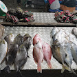Komplek Jajanan Seafood & Ikan Bakar PLTU Ancol