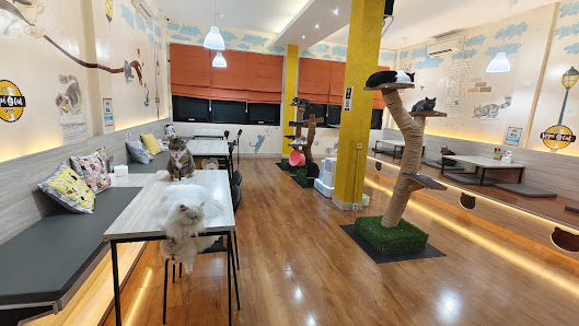 Kopi Cat Cafe by Groovy - Kemang