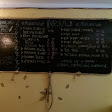 Kopi Poci Rajawali