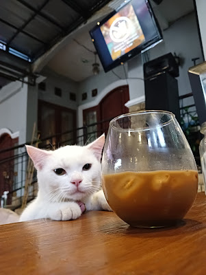 Kopi Praktik Bogor