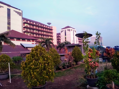Kost K53