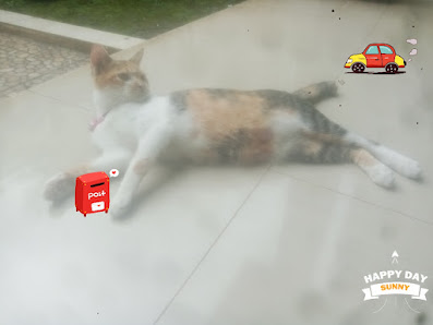 Kucing Billy