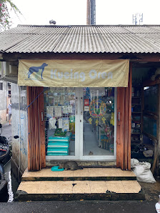Kucing Oren Pet Shop