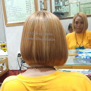 lesa karent salon 2007
