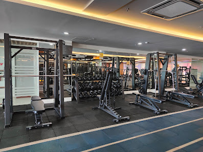 Limitless Fitness
