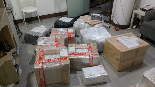 LION PARCEL ARR AMALIA