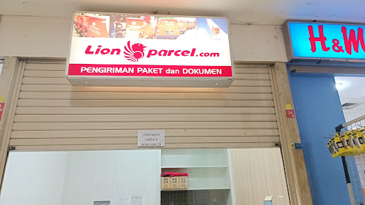 Lion Parcel roxy