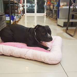 Little Queen Pet Care
