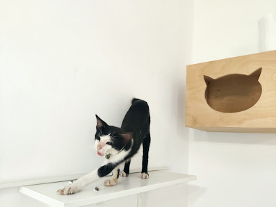 Lulu Pet Motel