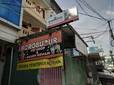 MADAGASCAR BOROBUDUR PETSHOP