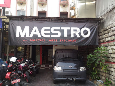 MAESTRO Sports - Martial Arts Specialist
