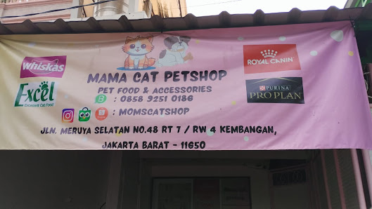 Mama cat petshop