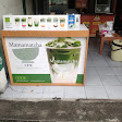 Mamamatcha Plumpang