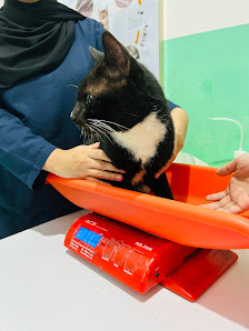 Metropet Praktek Dokter Hewan Bersama