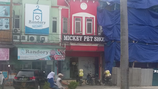 Mickey Pet Store