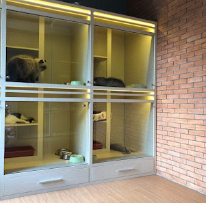 Mimo Cat's Hotel