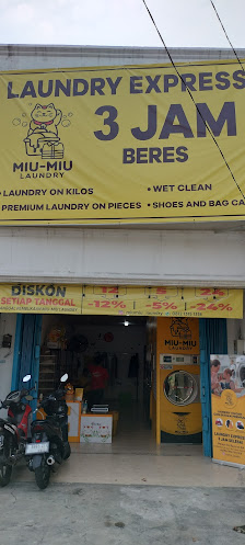 Miu Miu Laundry