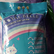 MOUZA CAT ROOM