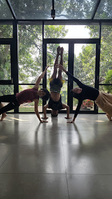 Mula Yoga Studio & Movement