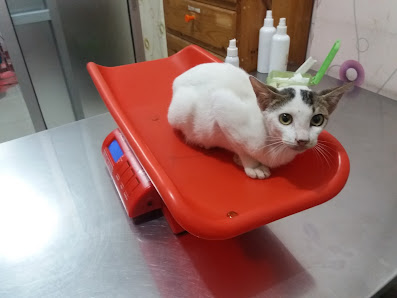 Nature Vet & Petshop