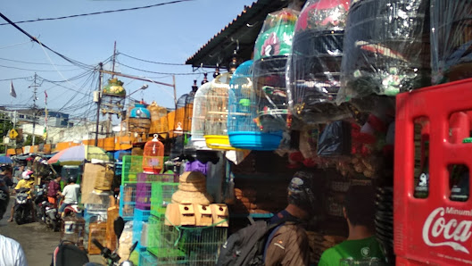 ndpets ps. burung jatinegara