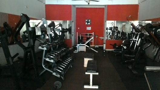 NEW Jimz Fitness