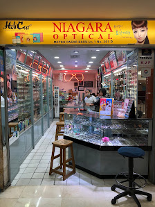 Niagara Optical