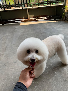 Nielpets grooming
