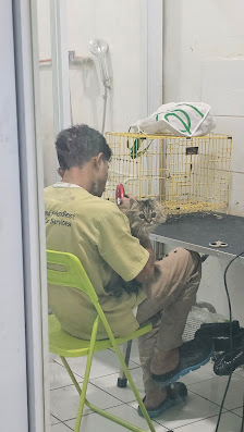 Nun Cat Care (Klinik Hewan Khusus Kucing)