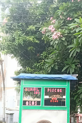 OLOS TEGAL
