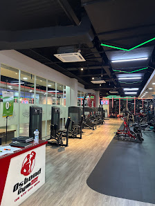 Osbond Gym Lite Cilandak