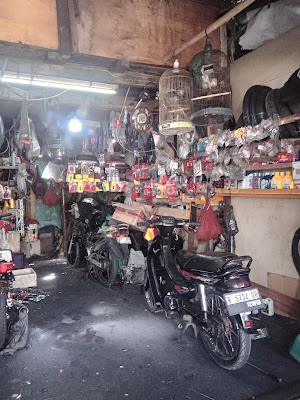 Oscard motor