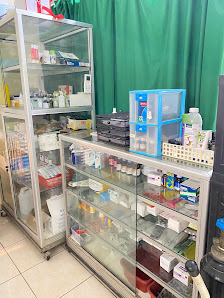 Pampamdo | Dokter Hewan Jakarta Selatan